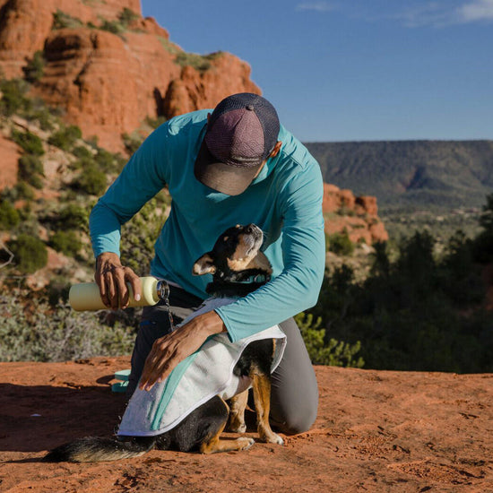 Swamp Cool Vest Sage Green
