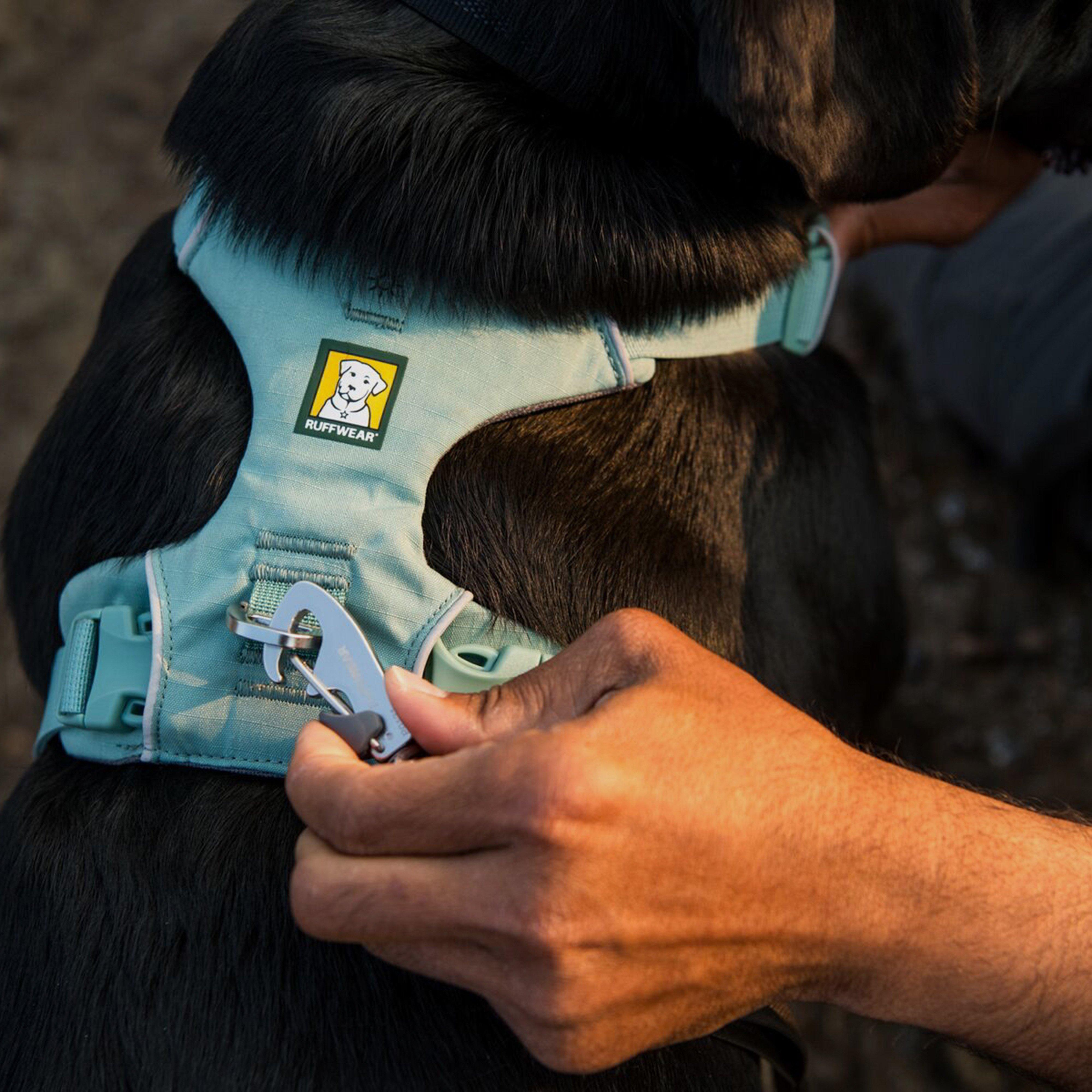 Front Range Dog Harness River Rock Green
