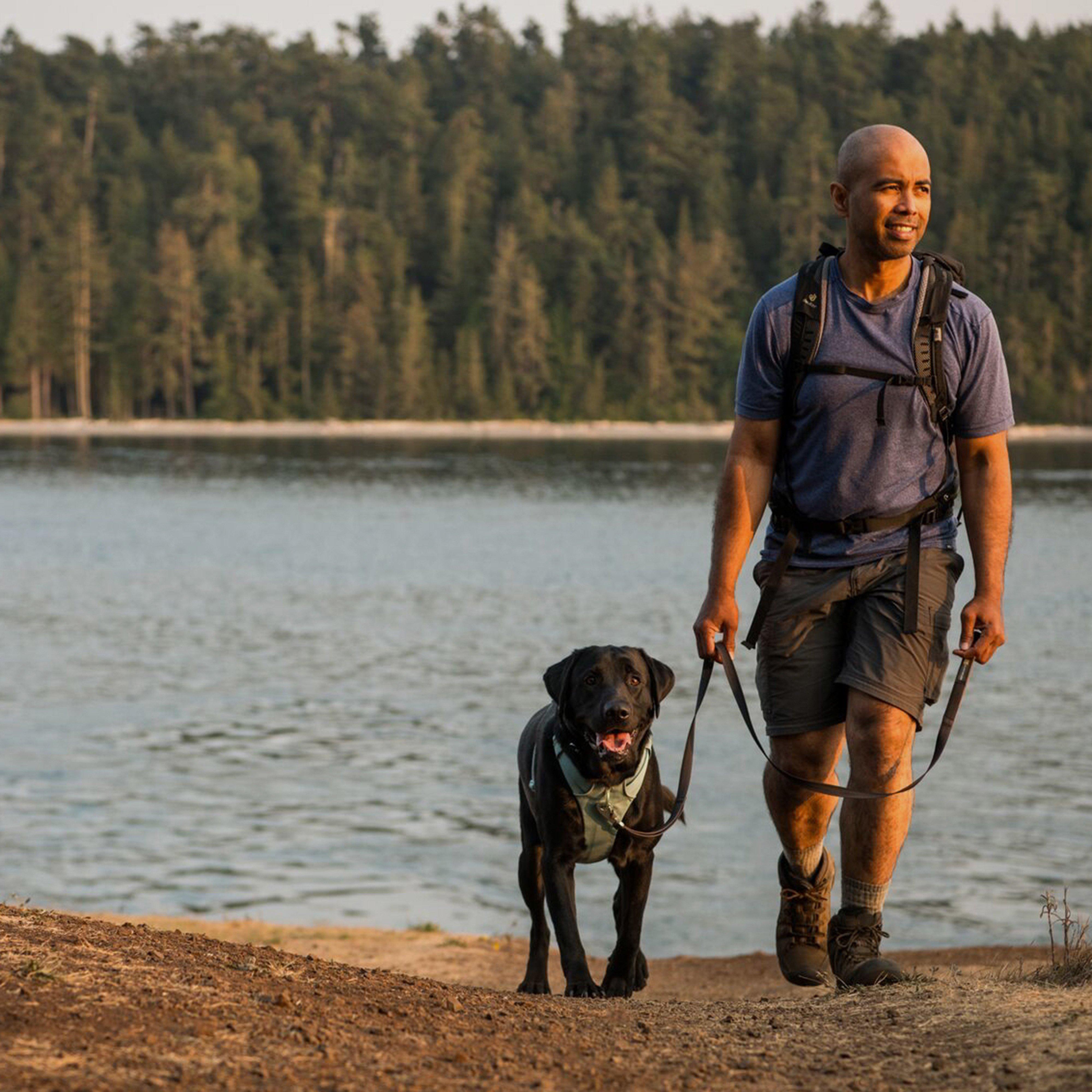 Front Range Dog Harness River Rock Green