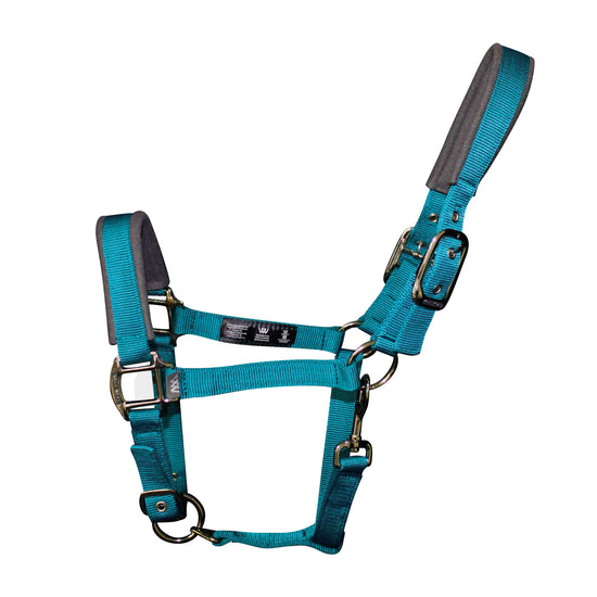 Contour Headcollar Ocean