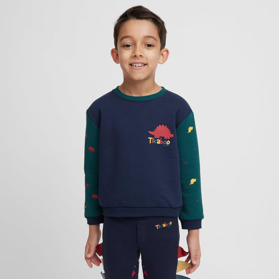 Kids Sweatshirt Dinosaur