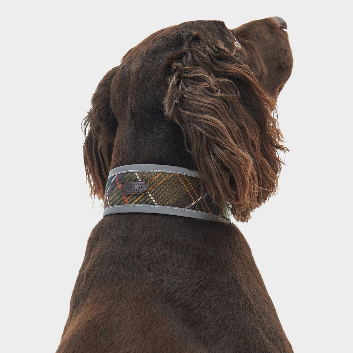 Reflective Tartan Comfort Collar Classic Tartan