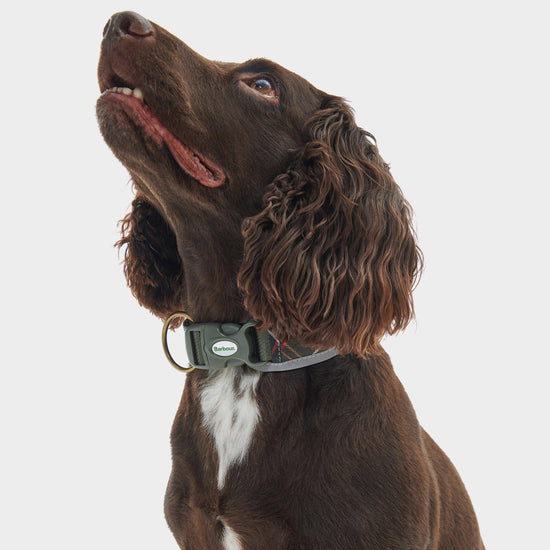 Reflective Tartan Comfort Collar Classic Tartan