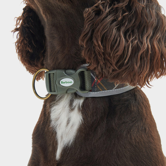 Reflective Tartan Comfort Collar Classic Tartan