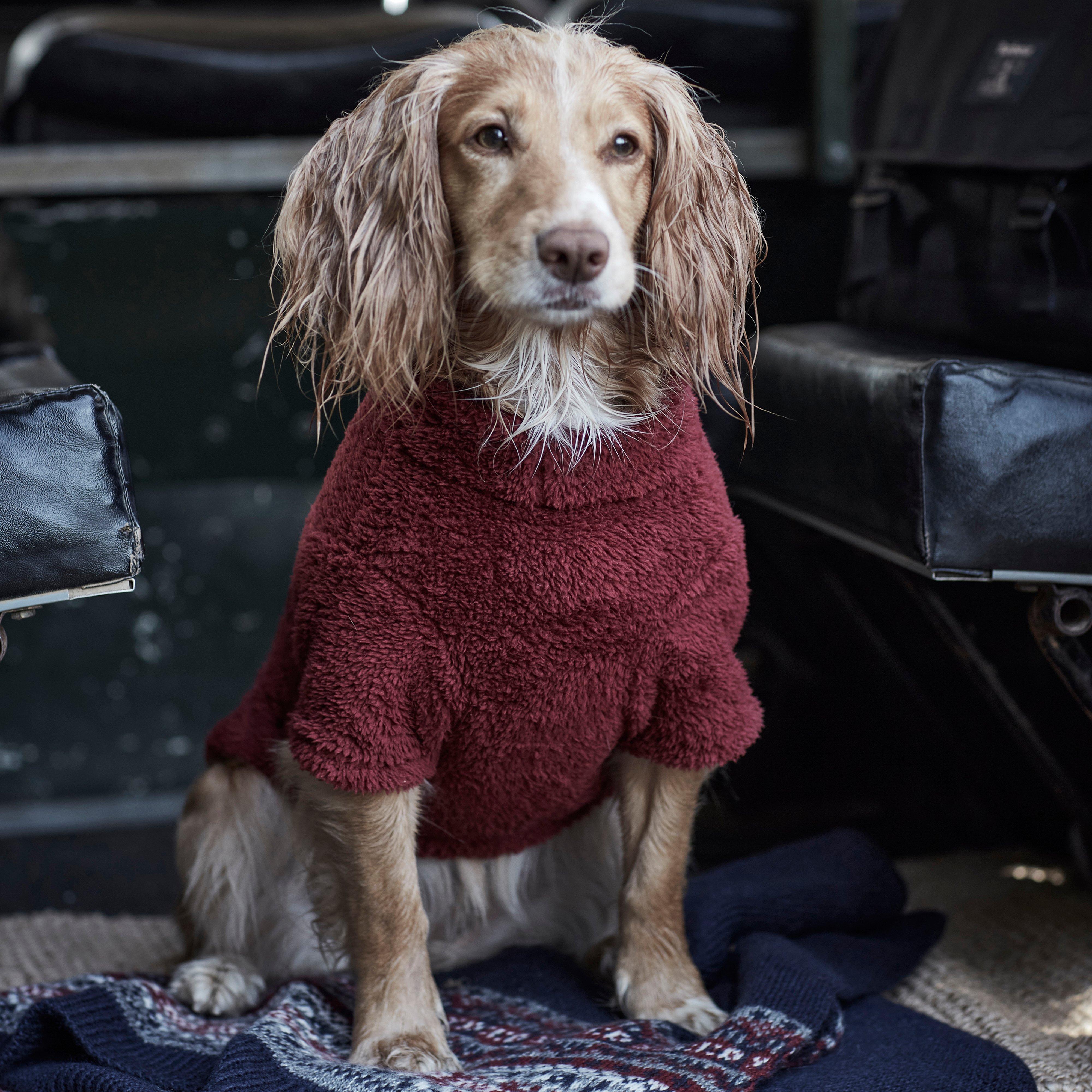Teddy Fleece Dog Jumper Red