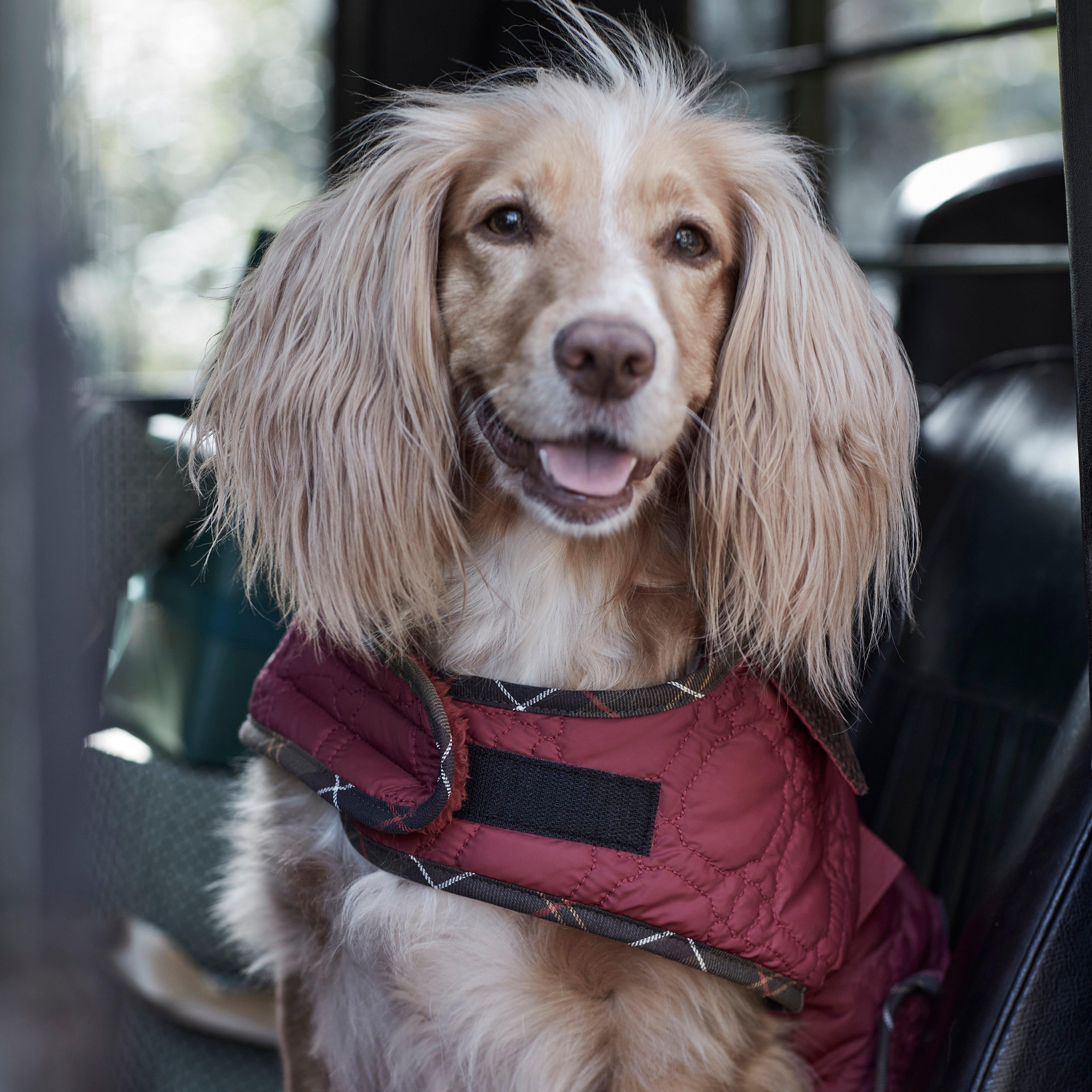 Dog Bone Quilted Dog Coat Cranberry