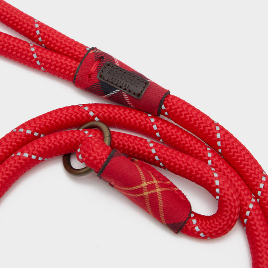 Reflective Dog Slip Lead Red