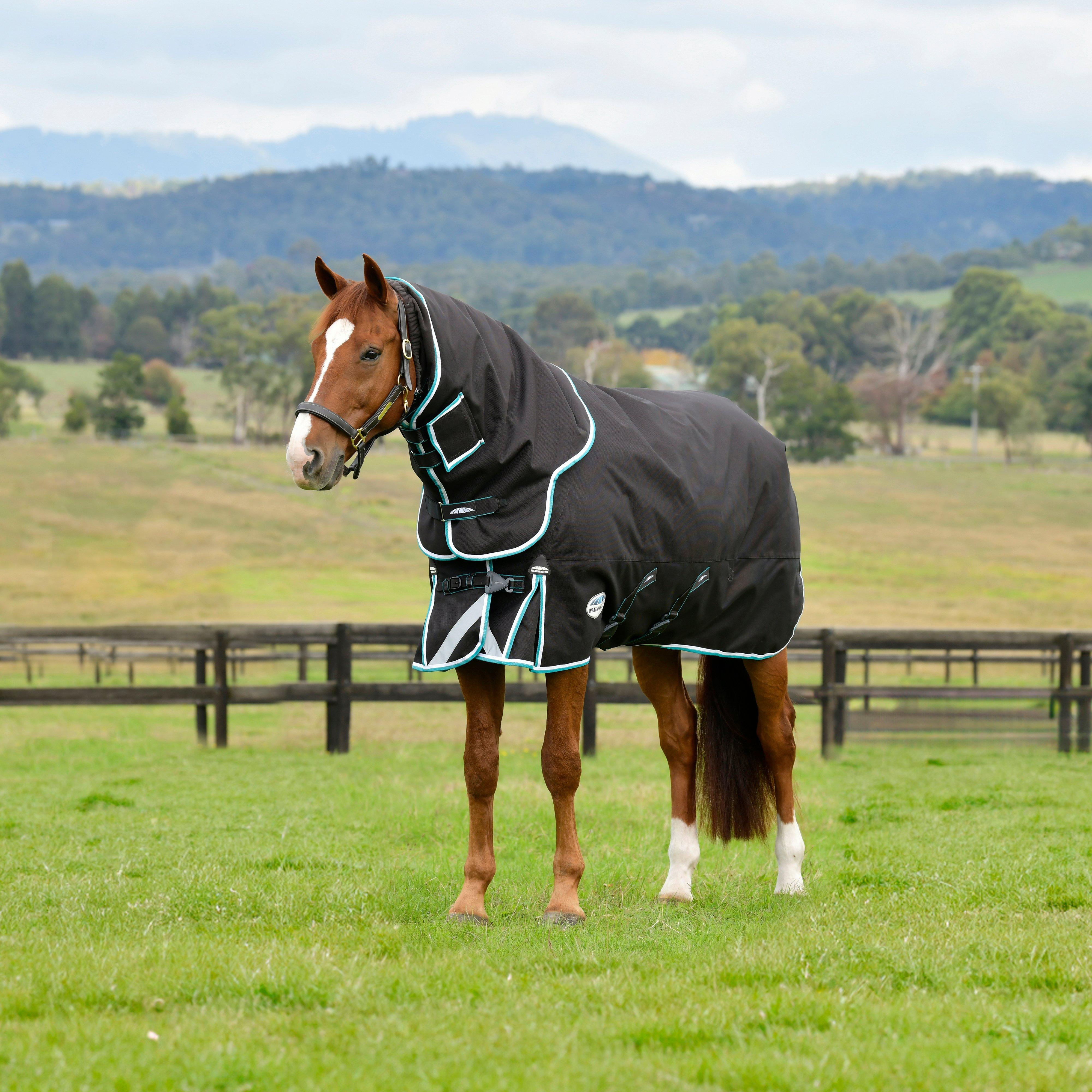 ComFiTec Ultra Comfi Detach-A-Neck 220g Mediumweight Turnout Rug Charcoal/Teal Blue/White