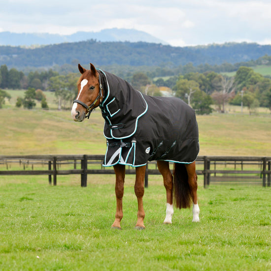 ComFiTec Ultra Comfi Detach-A-Neck 220g Mediumweight Turnout Rug Charcoal/Teal Blue/White