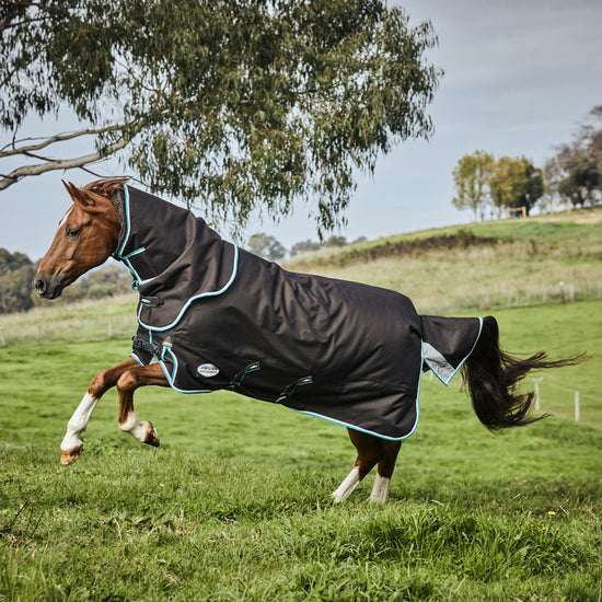 ComFiTec Ultra Comfi Detach-A-Neck 220g Mediumweight Turnout Rug Charcoal/Teal Blue/White