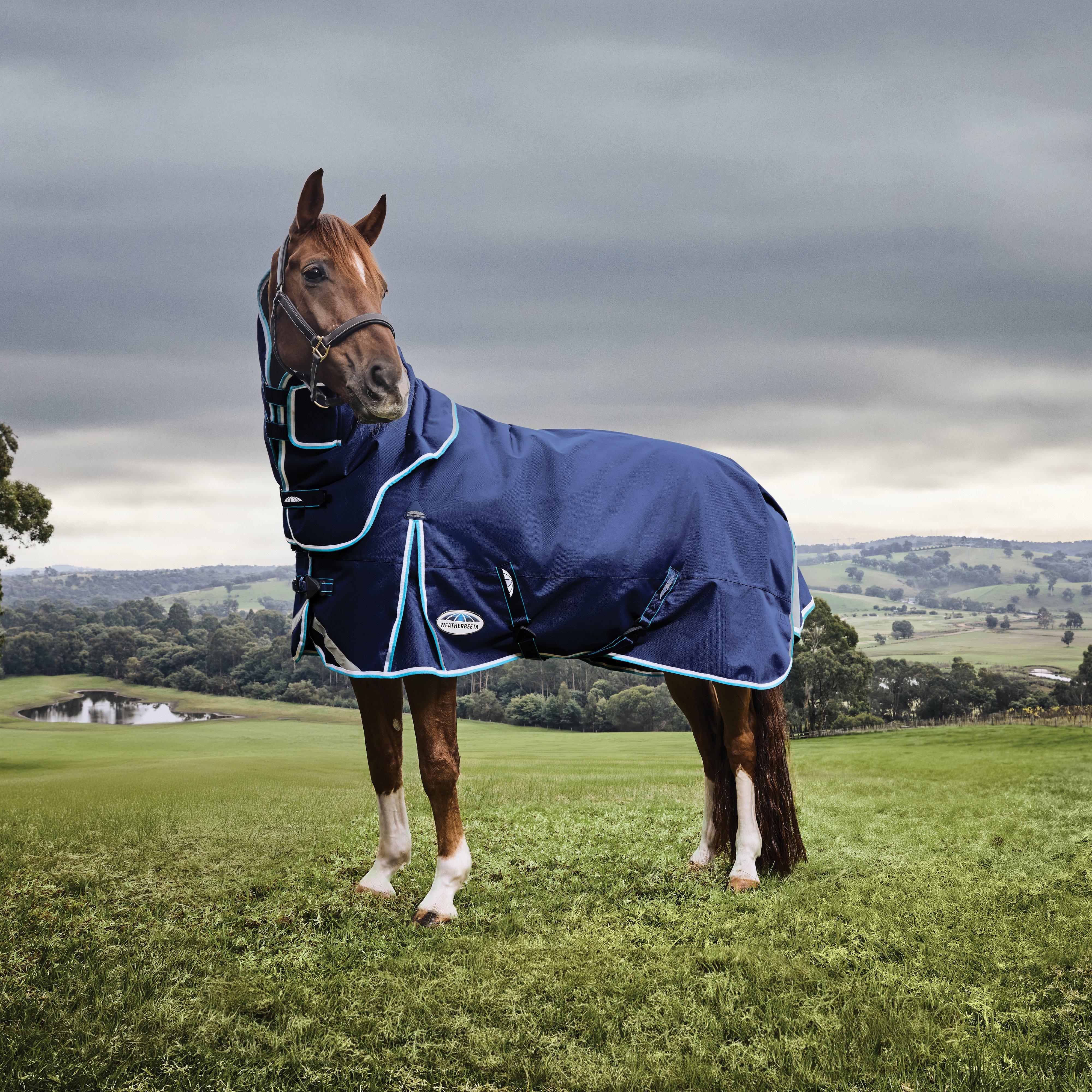 ComFiTec Ultra Hardi Detach-A-Neck 100g Medium/Light Weight Turnout Rug Blue/Bright Blue/White