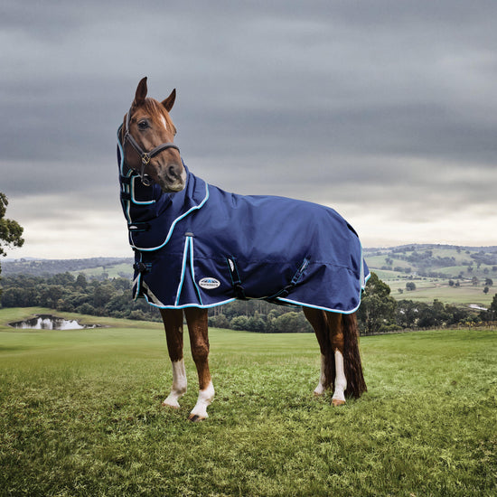 ComFiTec Ultra Hardi 220g Detach A Neck Rug