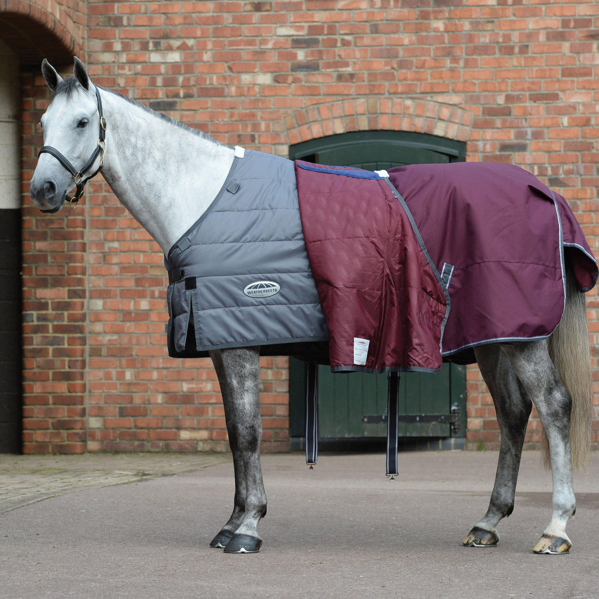 ComFiTec Plus Dynamic II Combo Neck Mediumweight 220g Turnout Rug Maroon/Grey/White