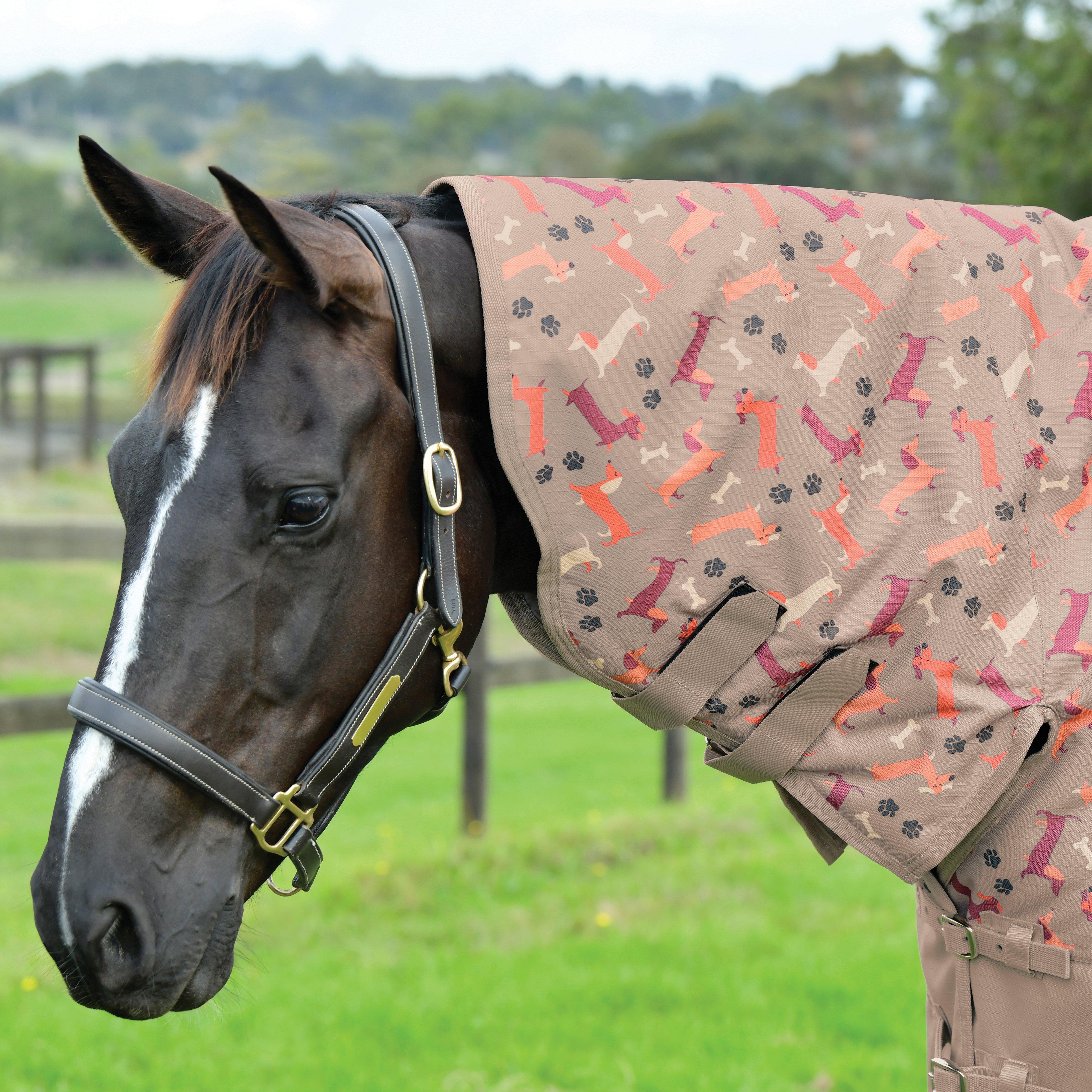ComFiTec Essential Combo Neck 220g Mediumweight Turnout Rug Dachshund Print