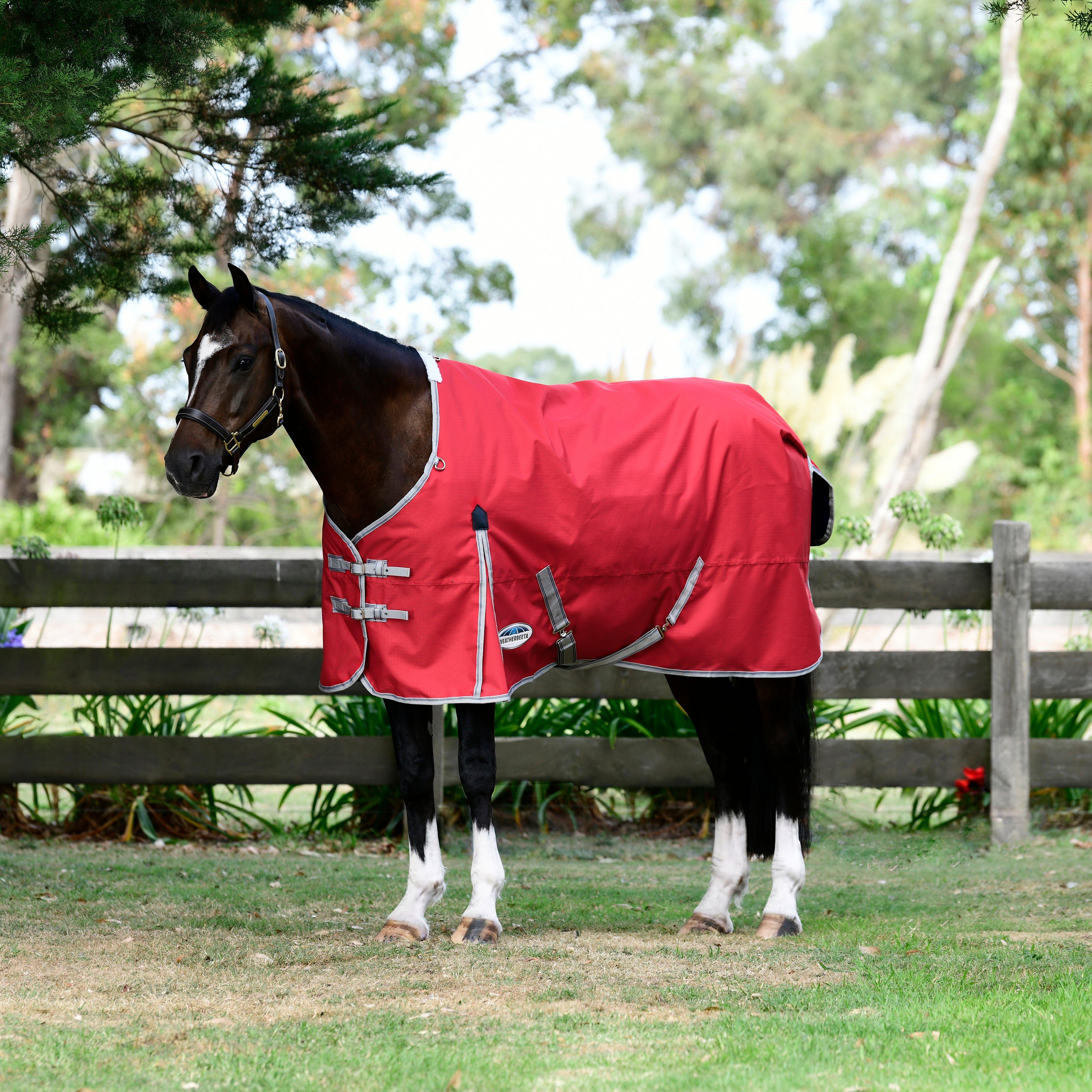 ComFiTec Classic Standard Neck 50g Lite Plus Turnout Rug Red/Silver/Navy