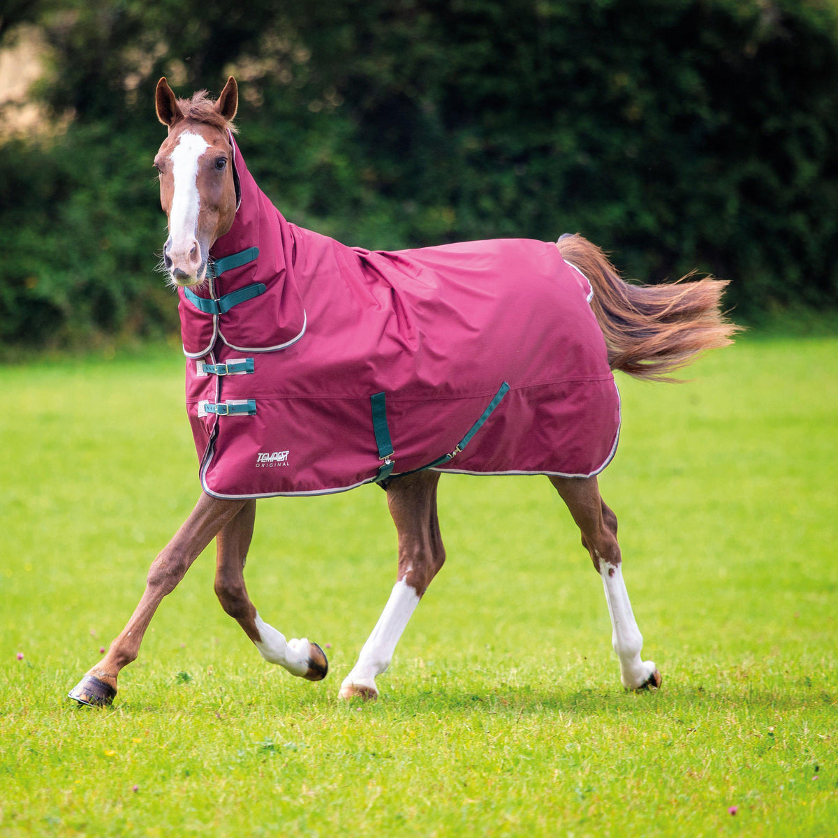 Tempest Original 200g Combo Neck Turnout Rug Maroon