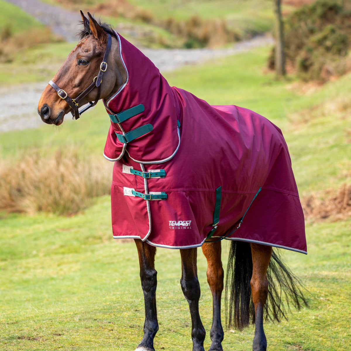 Tempest Original 200g Combo Neck Turnout Rug Maroon