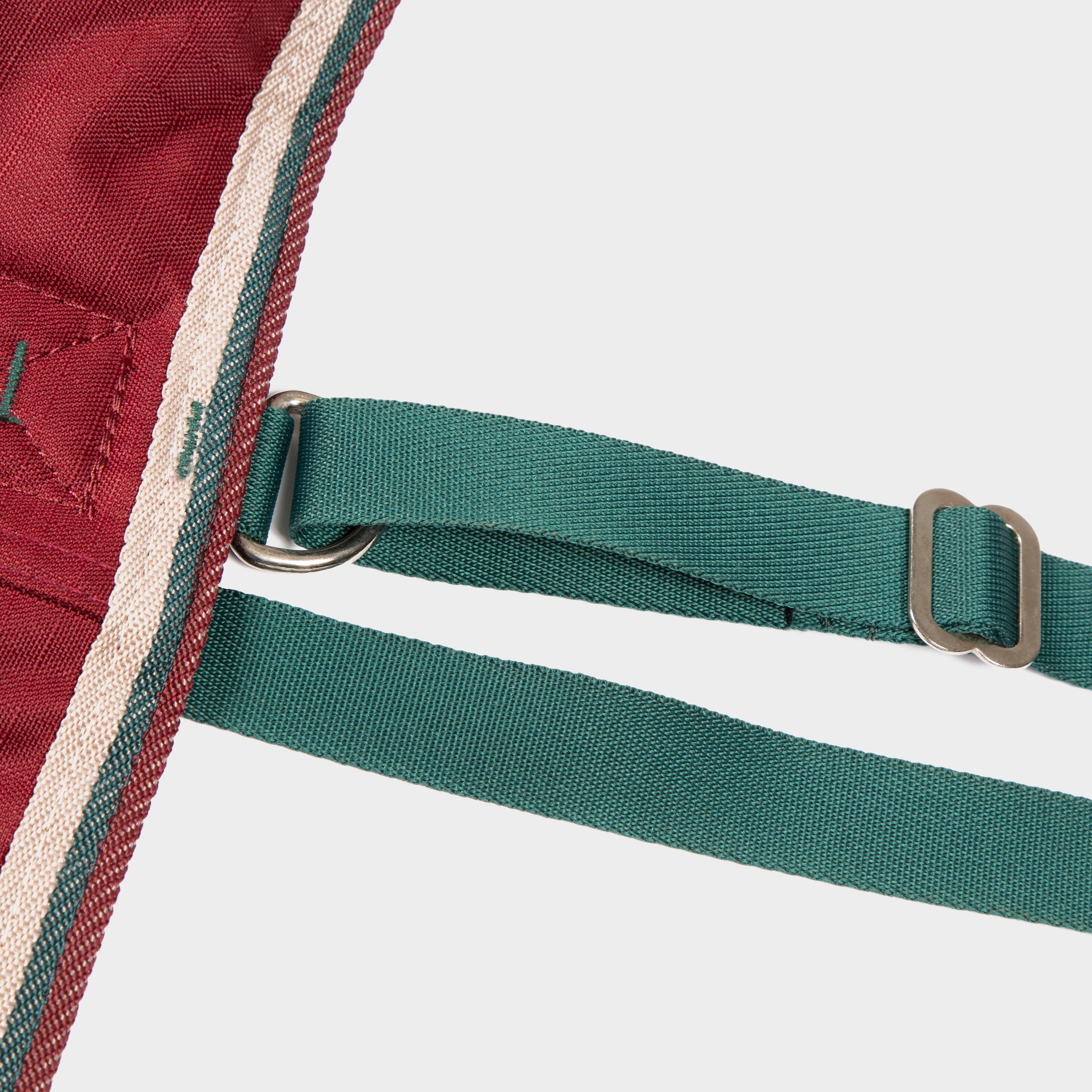 Tempest Original 200g Combo Neck Turnout Rug Maroon