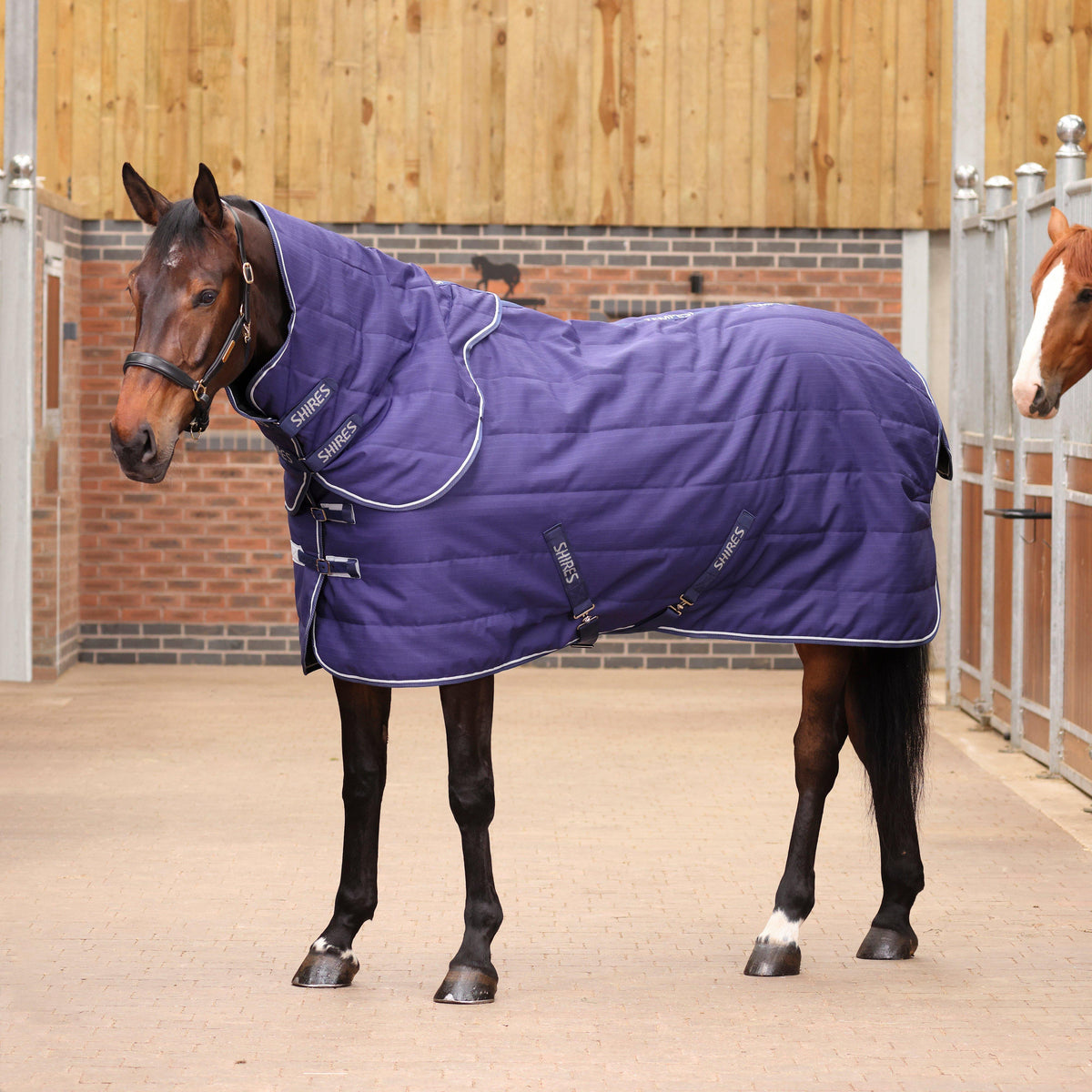 Tempest Original 100g Detach-A-Neck Stable Rug Navy
