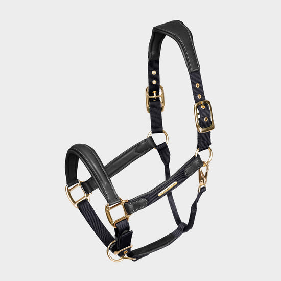 Lusso Padded Leather Headcollar Black