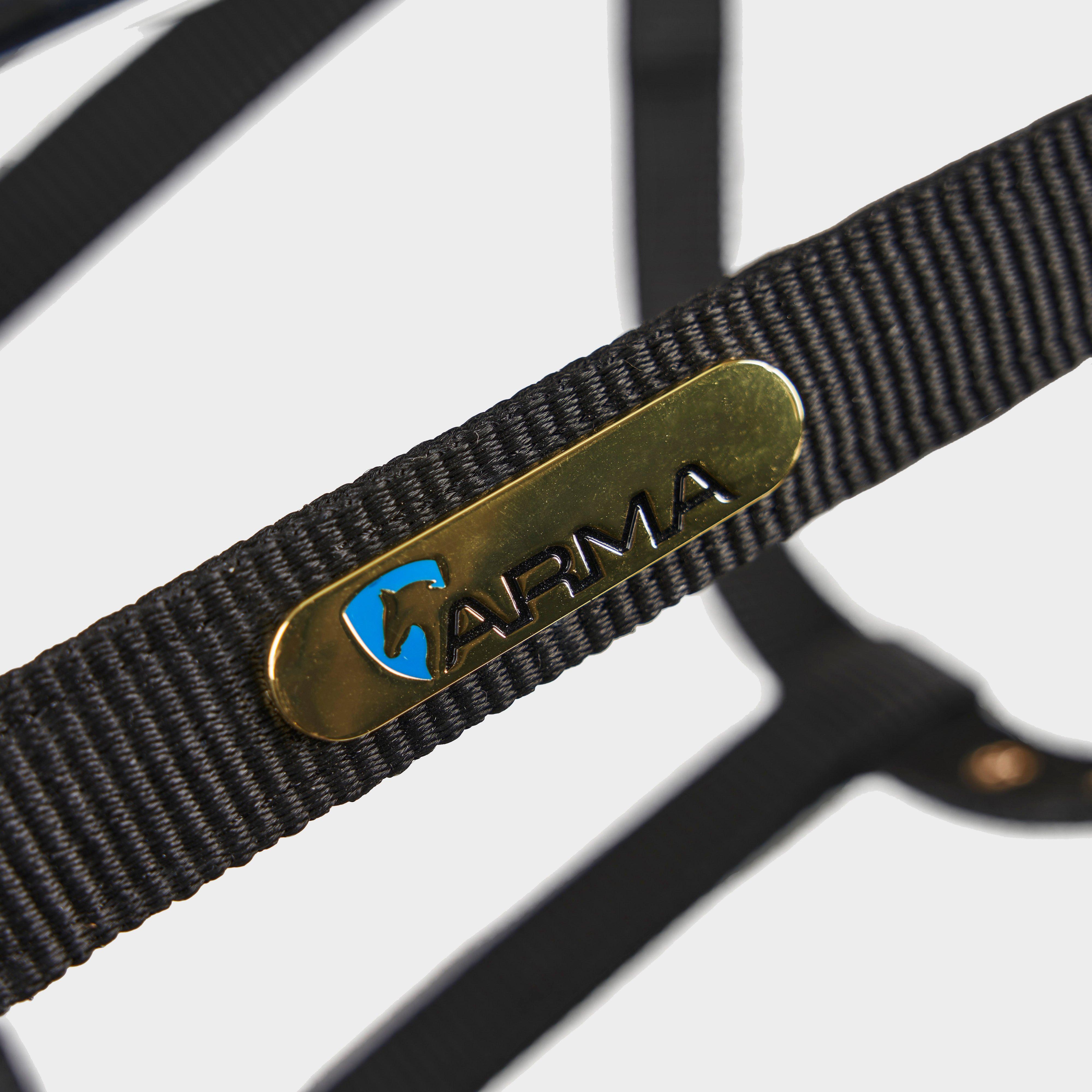 Fleece Lined Lunge Cavesson Black