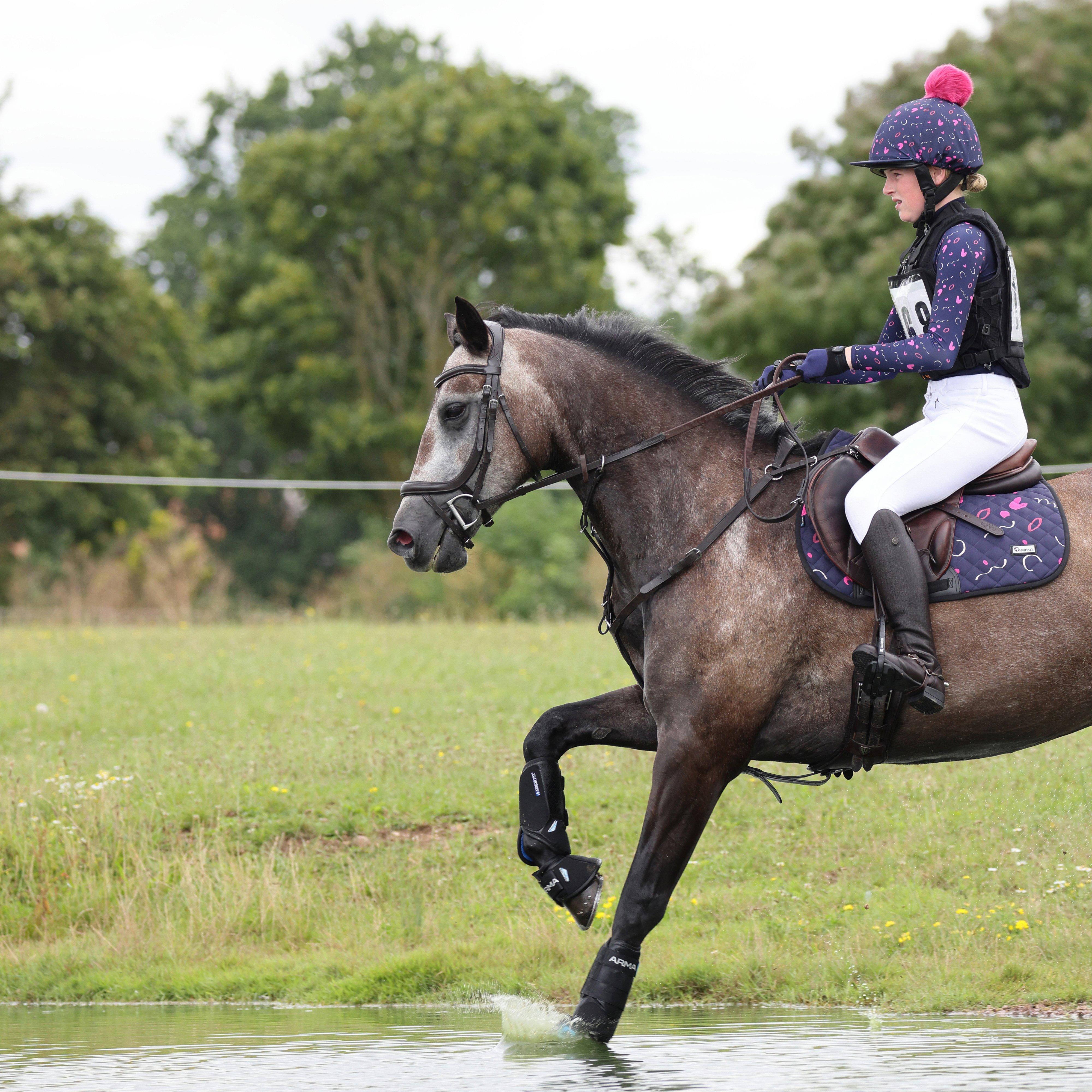 Hyde Park Saddlecloth Doodle