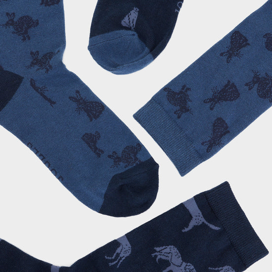 Mens Kingsbury 2 Pack Socks Blue/Navy