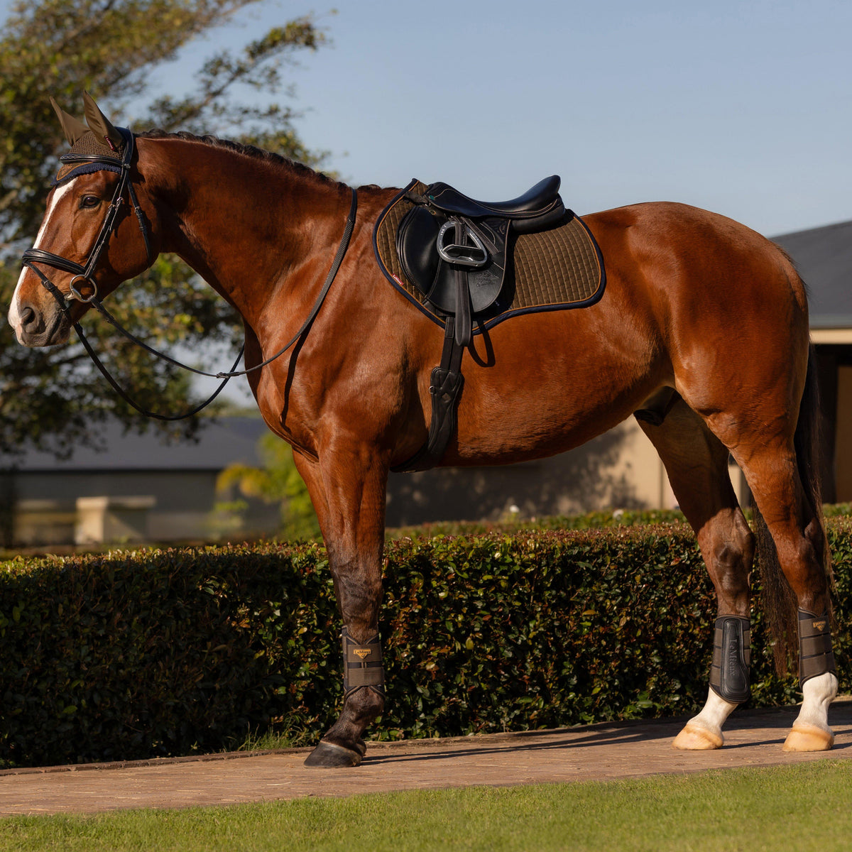 Suede Close Contact Saddle Pad Alpine