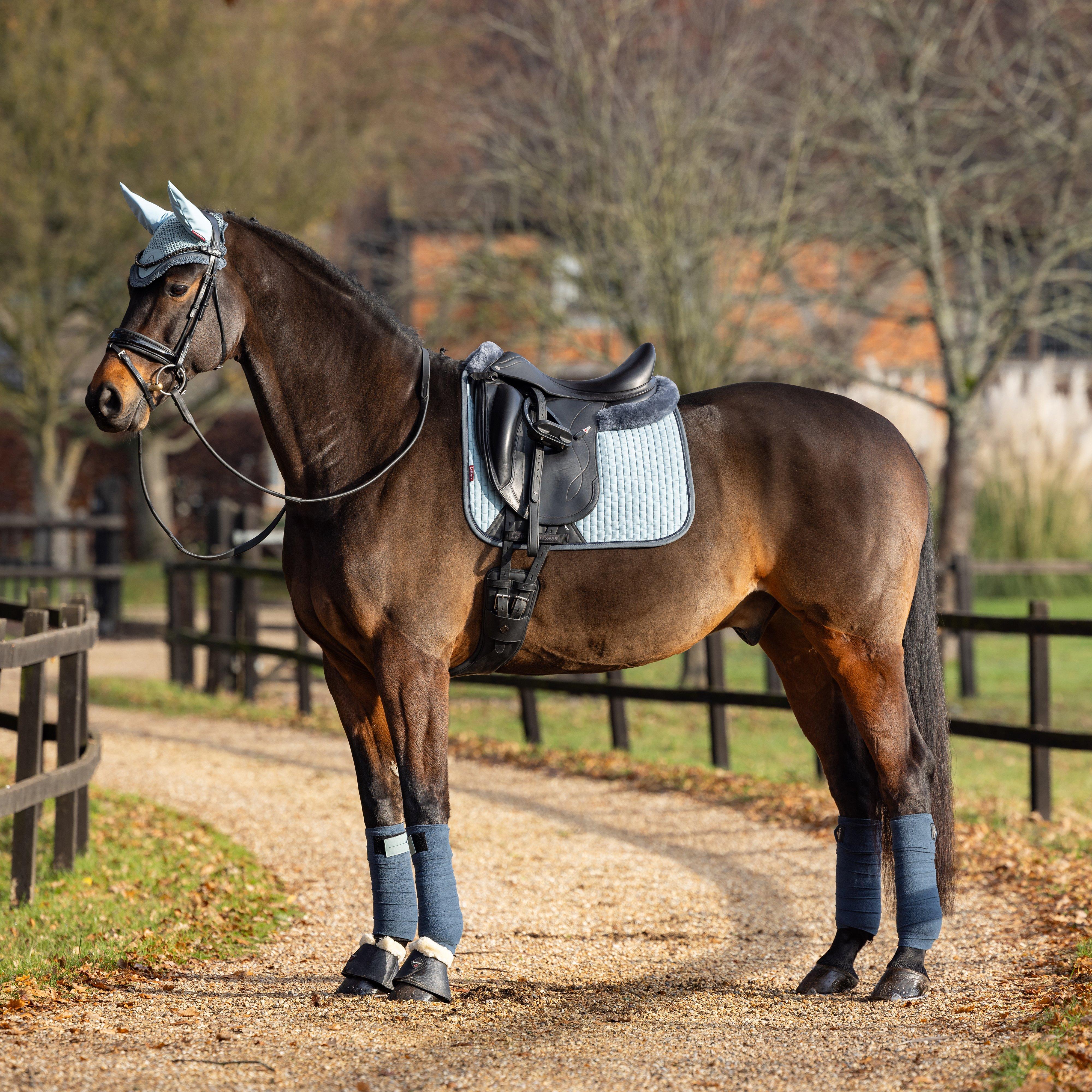 Suede Dressage Saddle Pad Glacier