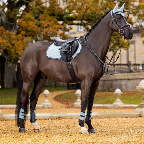 Classic Fly Hood Glacier