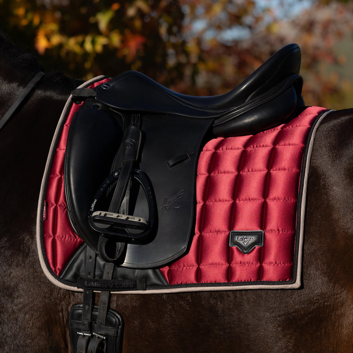 Loire Classic Dressage Square Saddle Pad Ember