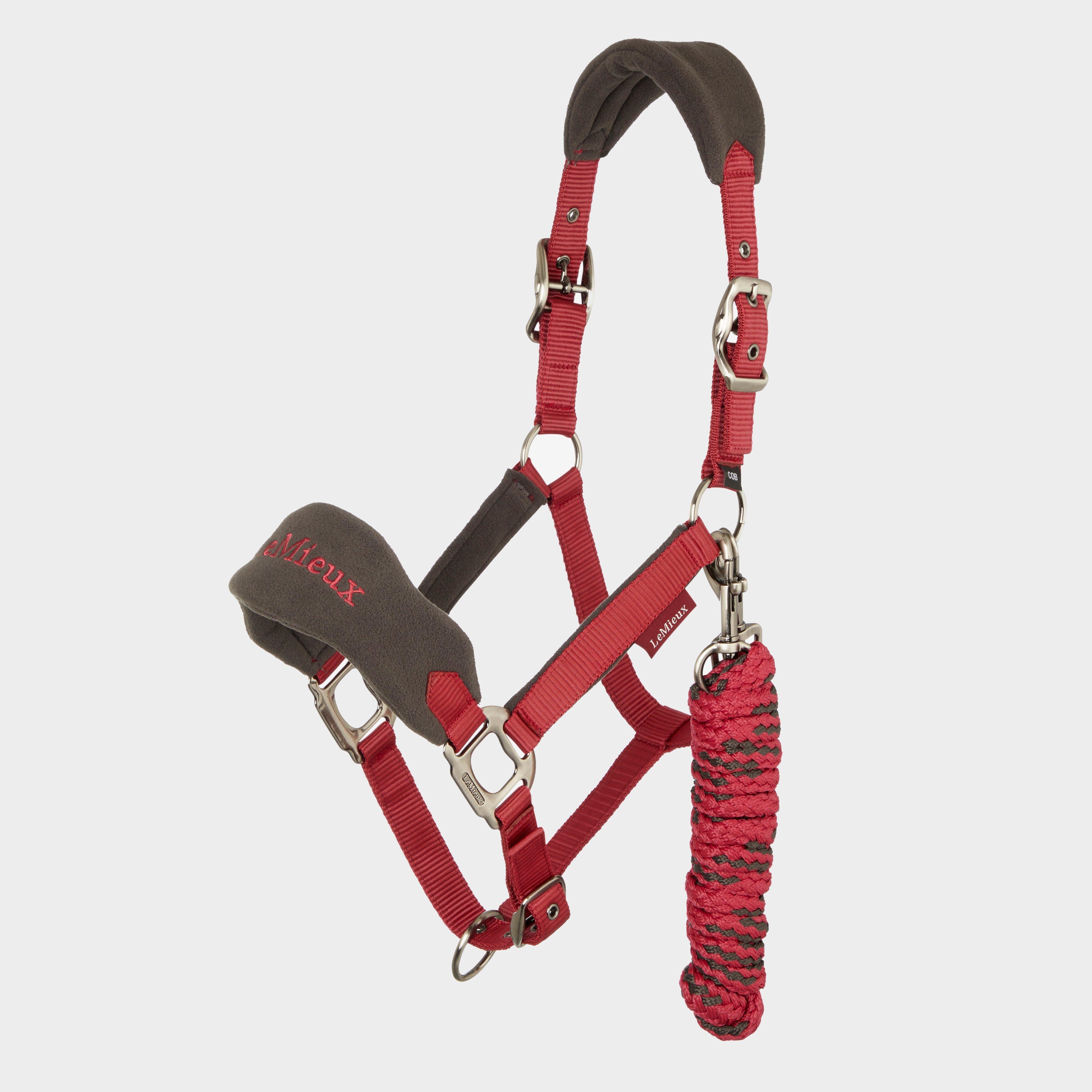 Vogue Headcollar & Leadrope Ember