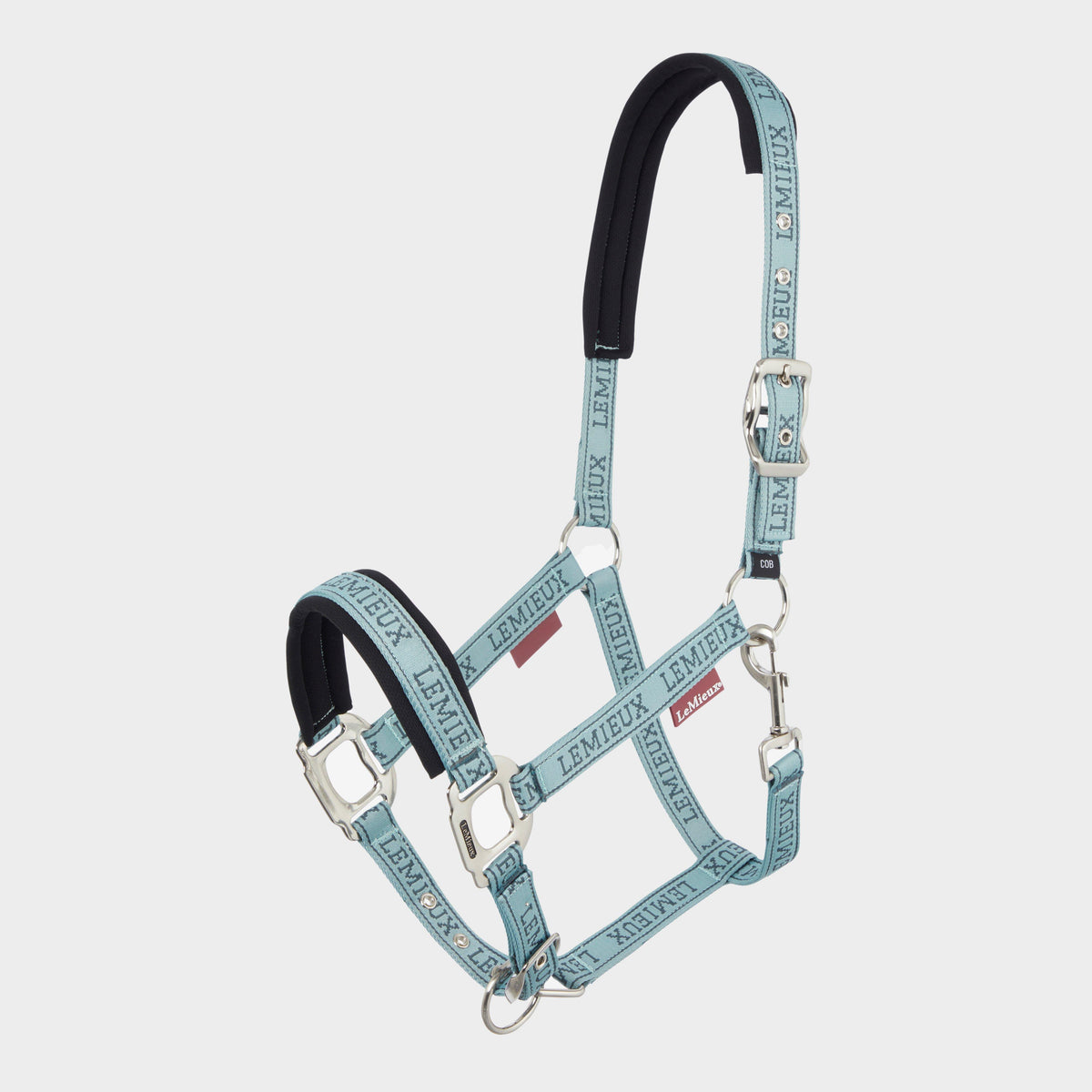 Logo Headcollar Glacier