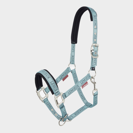 Logo Headcollar Glacier