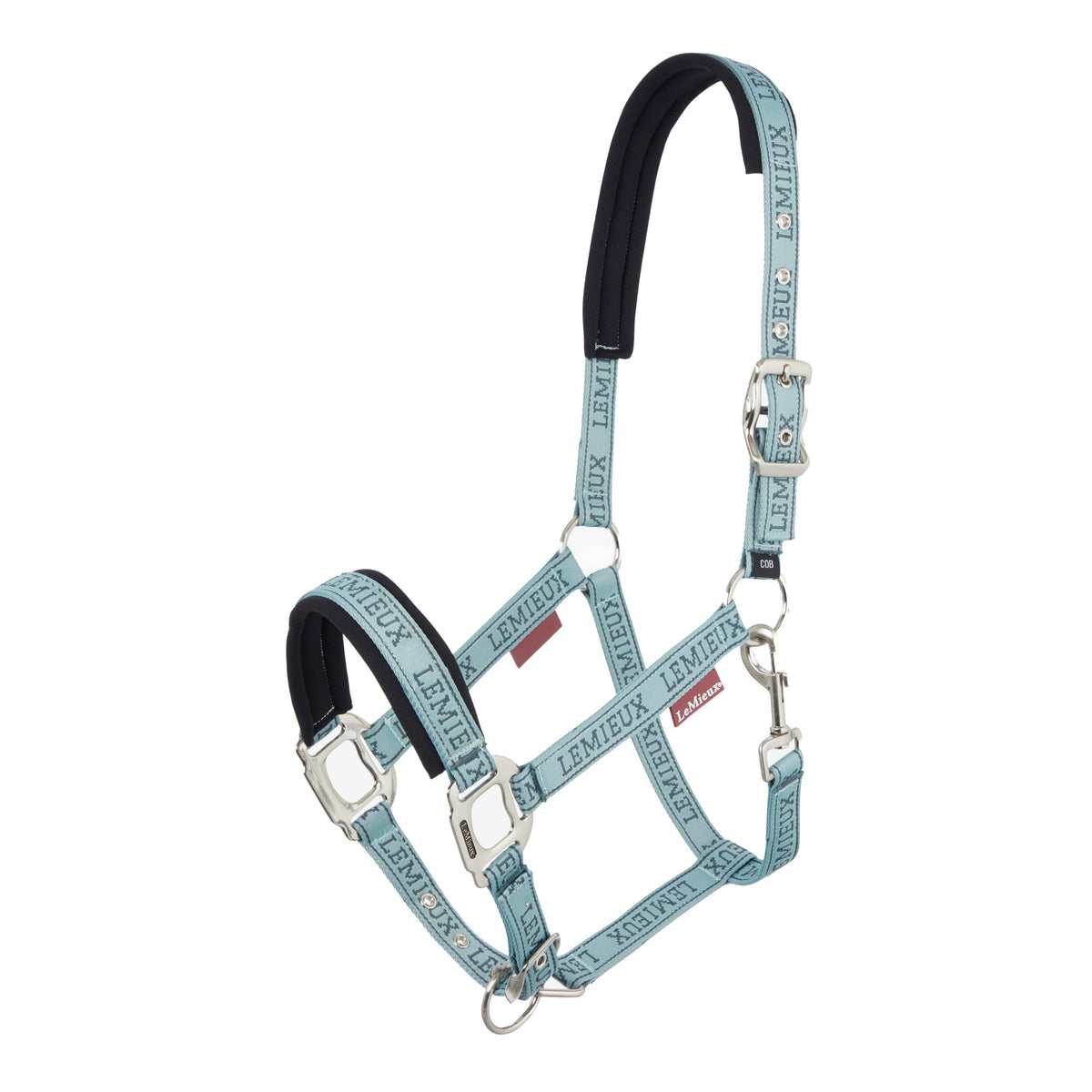 Logo Headcollar Glacier