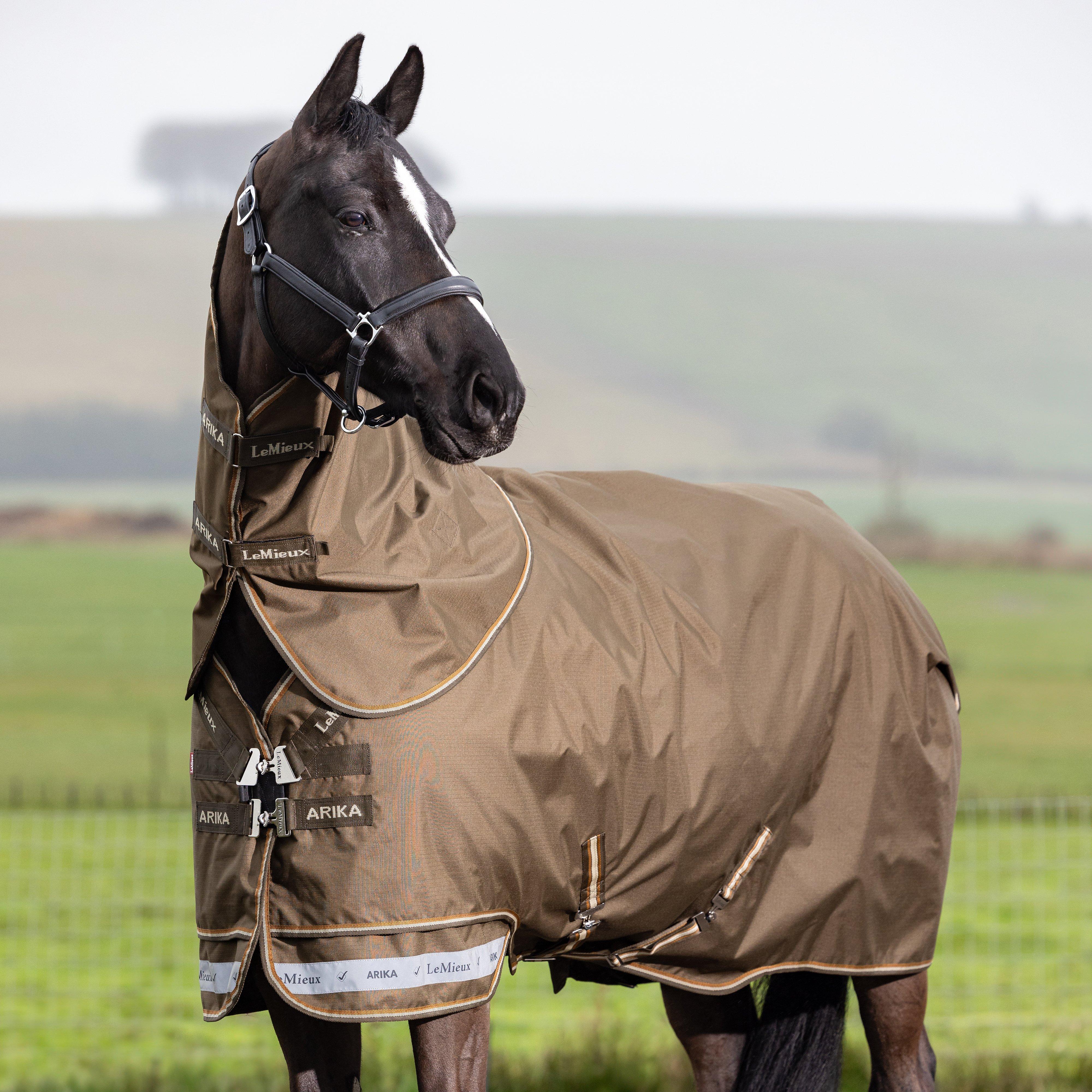 Arika Ripstop 200g Mediumweight Detach-A-Neck Turnout Rug Alpine