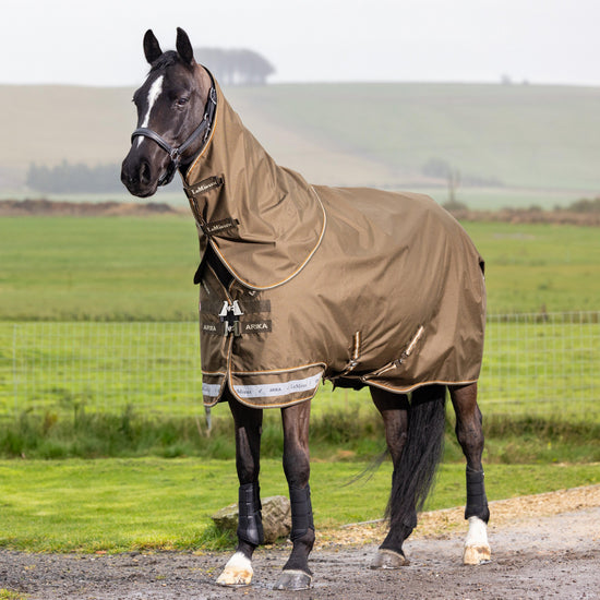 Arika Ripstop 200g Mediumweight Detach-A-Neck Turnout Rug Alpine