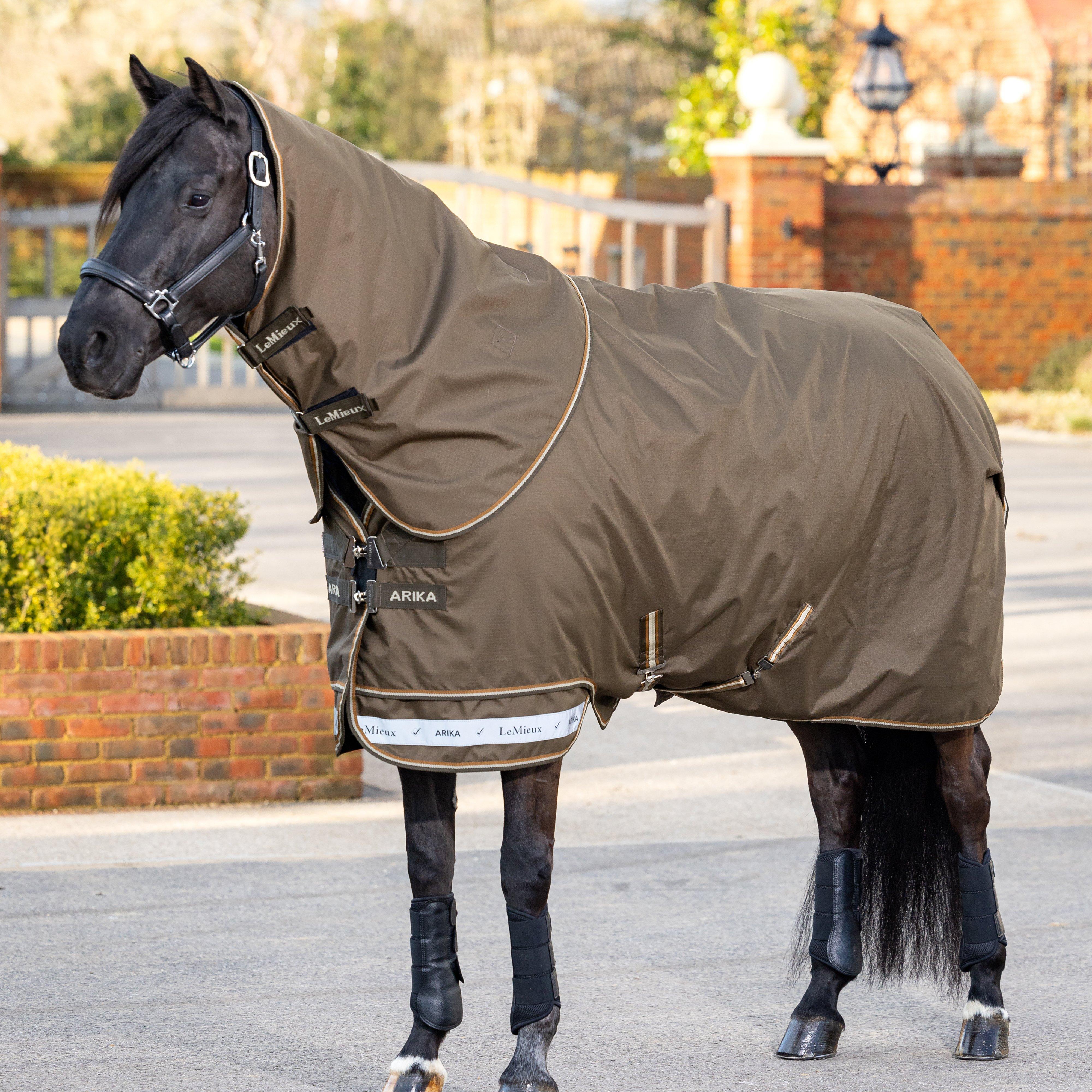 Arika Ripstop 200g Mediumweight Detach-A-Neck Turnout Rug Alpine
