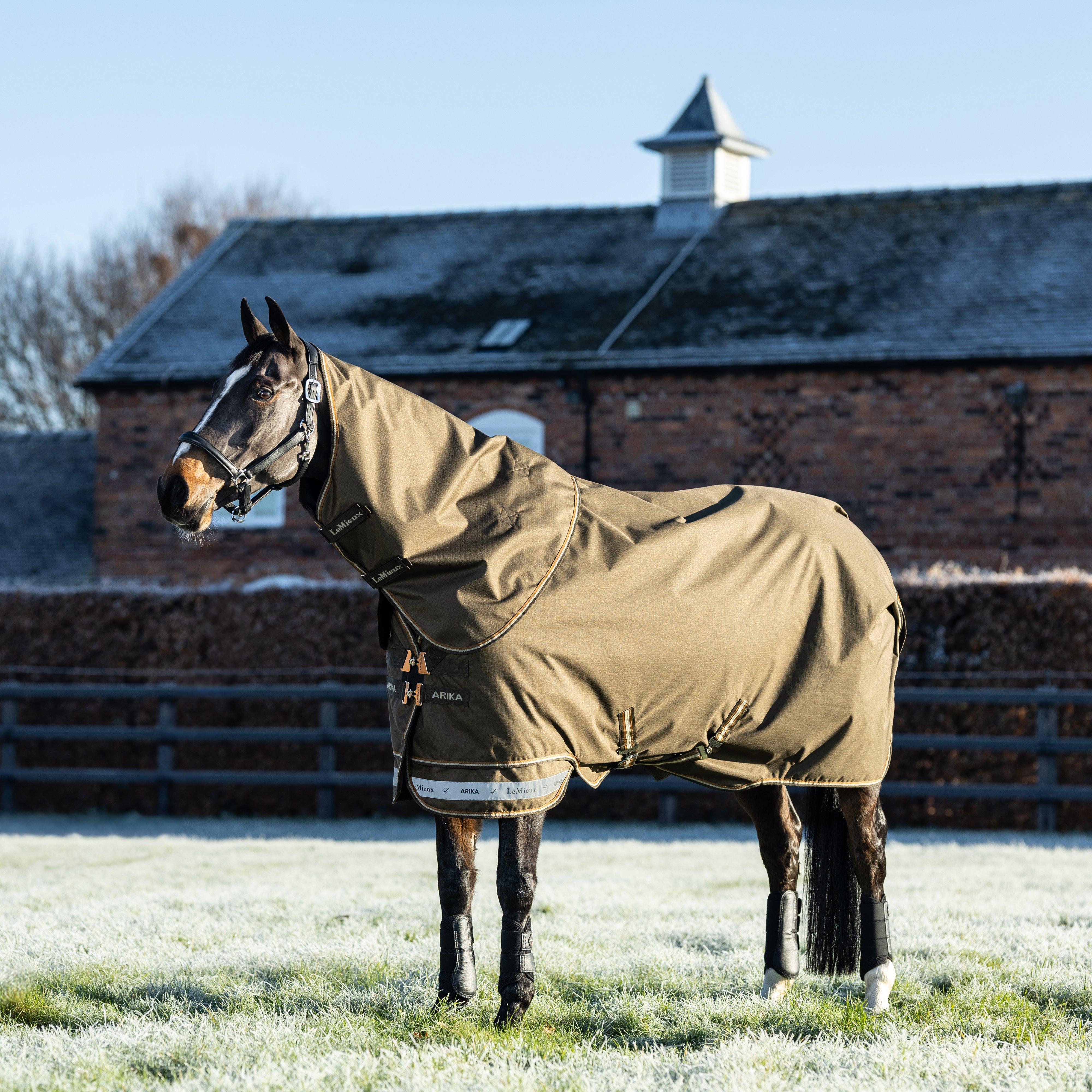 Arika Ripstop 200g Mediumweight Detach-A-Neck Turnout Rug Alpine