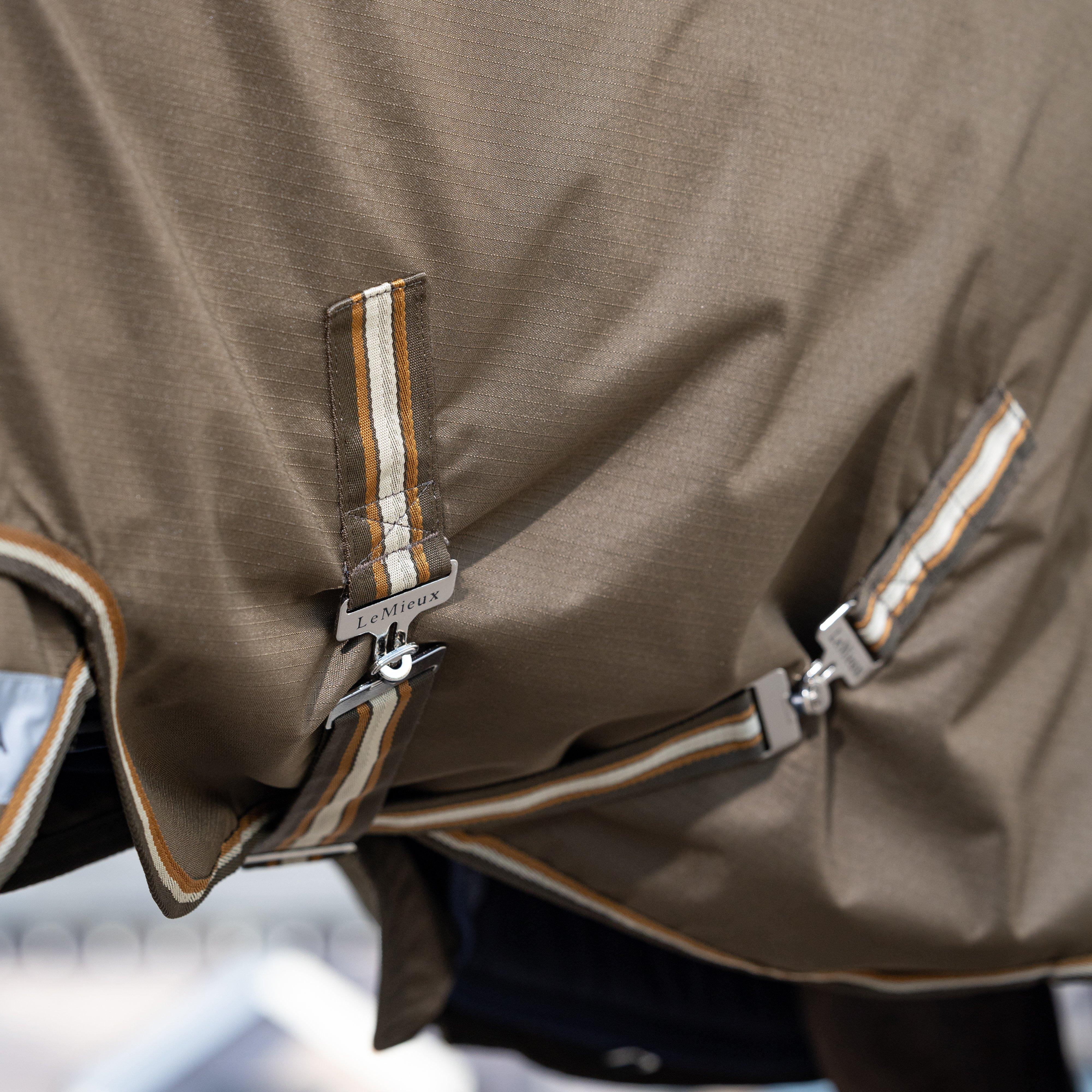 Arika Ripstop 200g Mediumweight Detach-A-Neck Turnout Rug Alpine