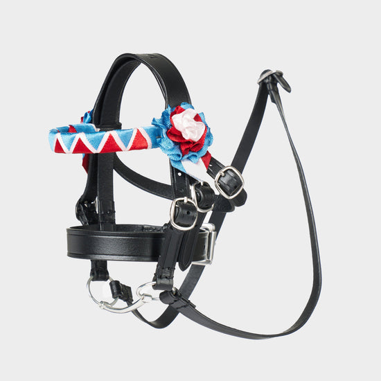 Toy Pony Showing Bridle Black