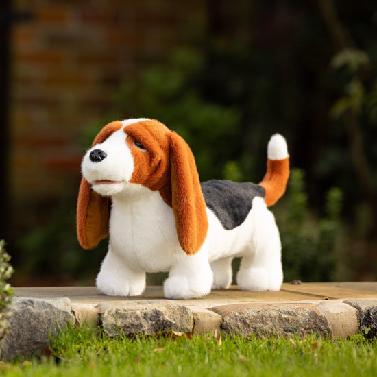 Toy Puppy Basset Hound Boris