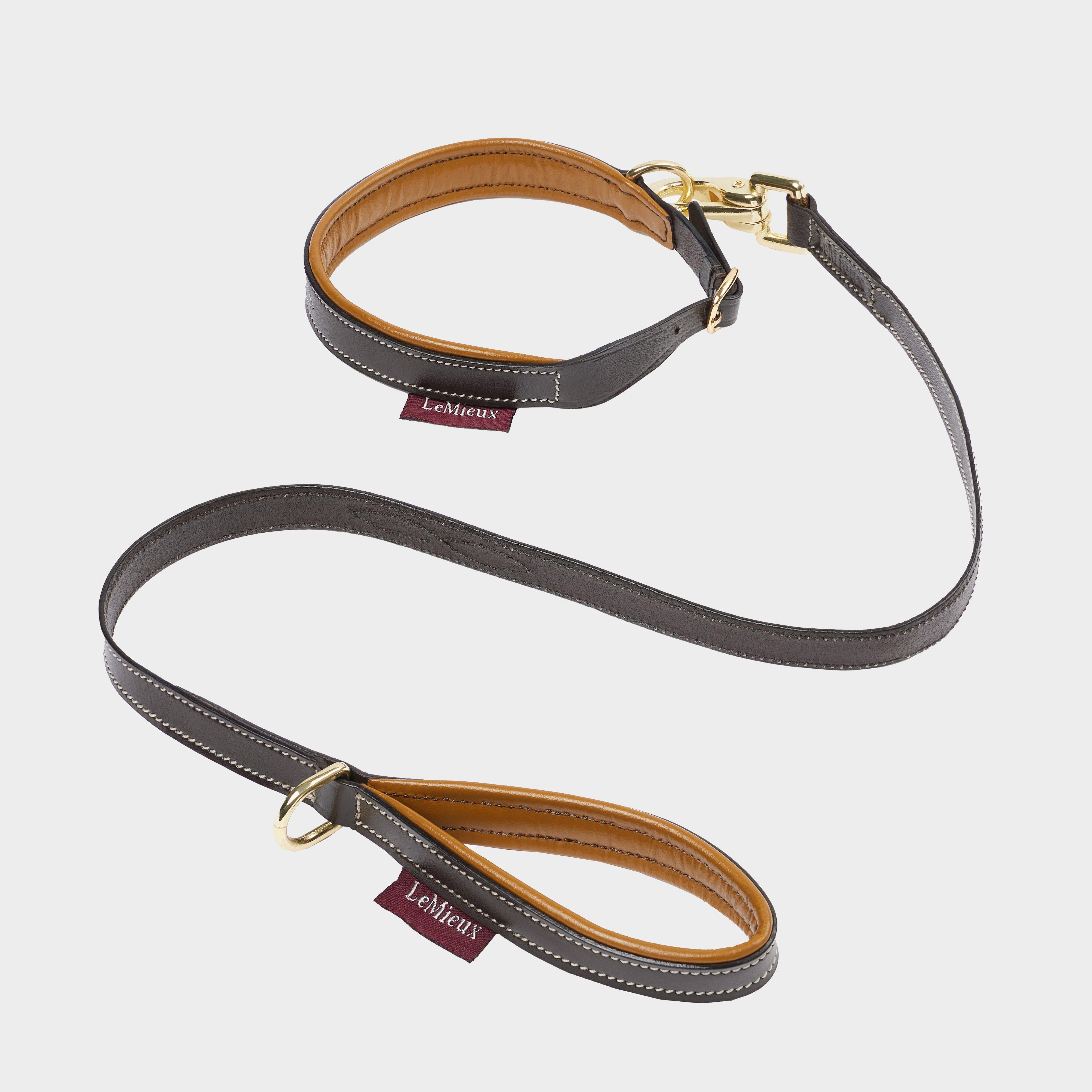 Toy Puppy Collar & Lead Ginger/Brown