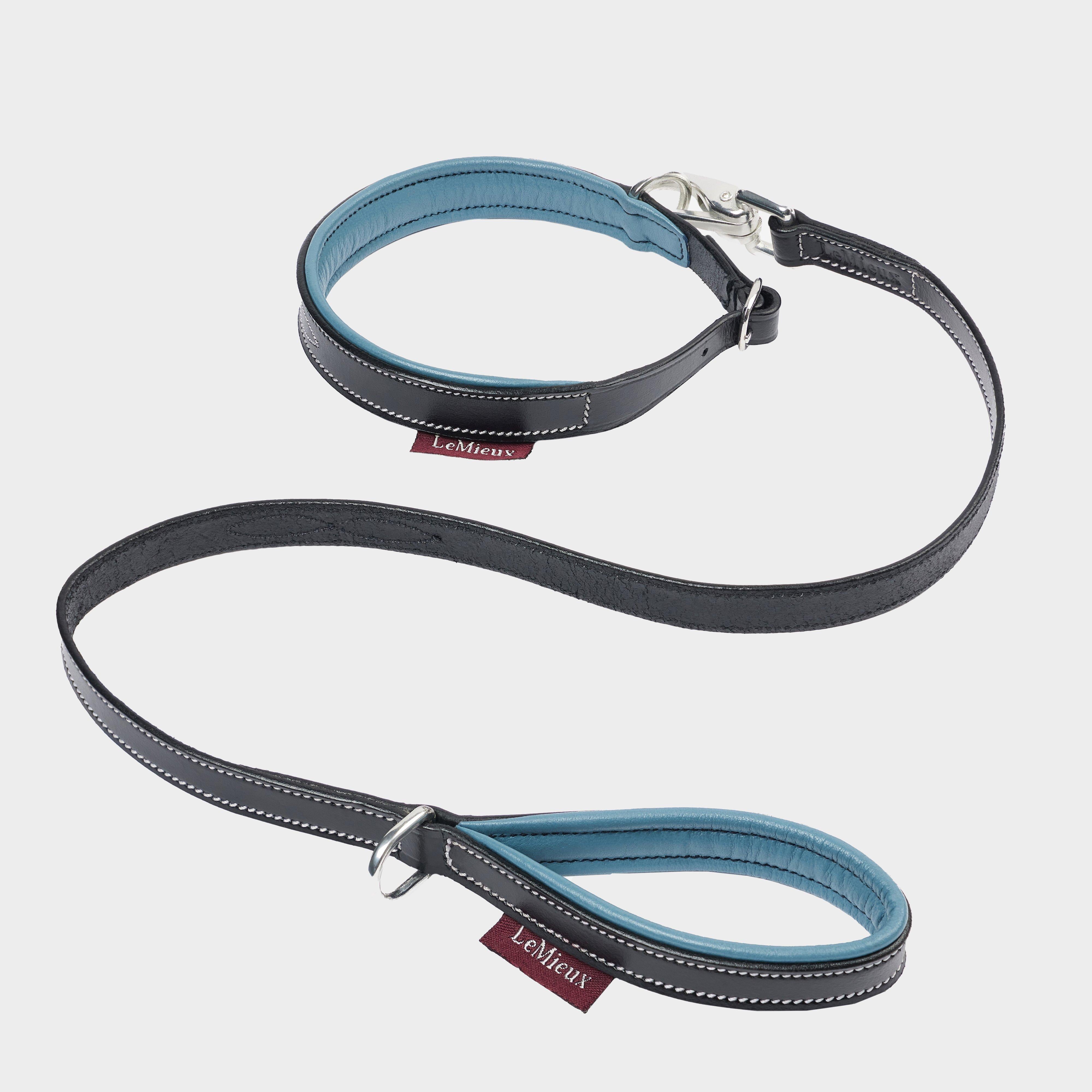 Toy Puppy Collar & Lead Ice Blue