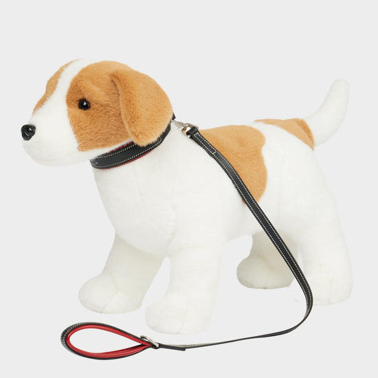 Toy Puppy Collar & Lead Chilli