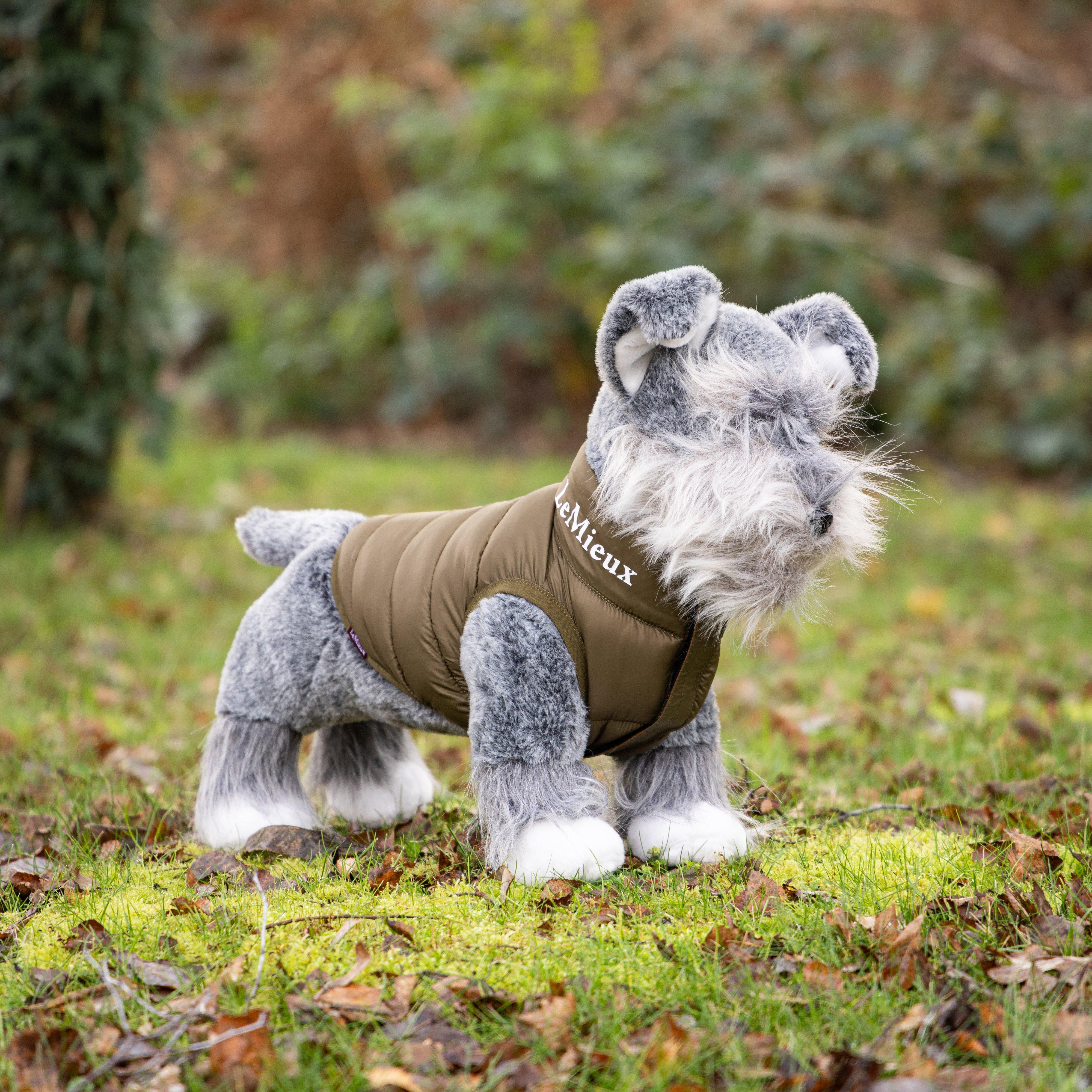 Toy Puppy Puffer Coat Ginger