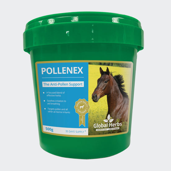 Pollenex 500g
