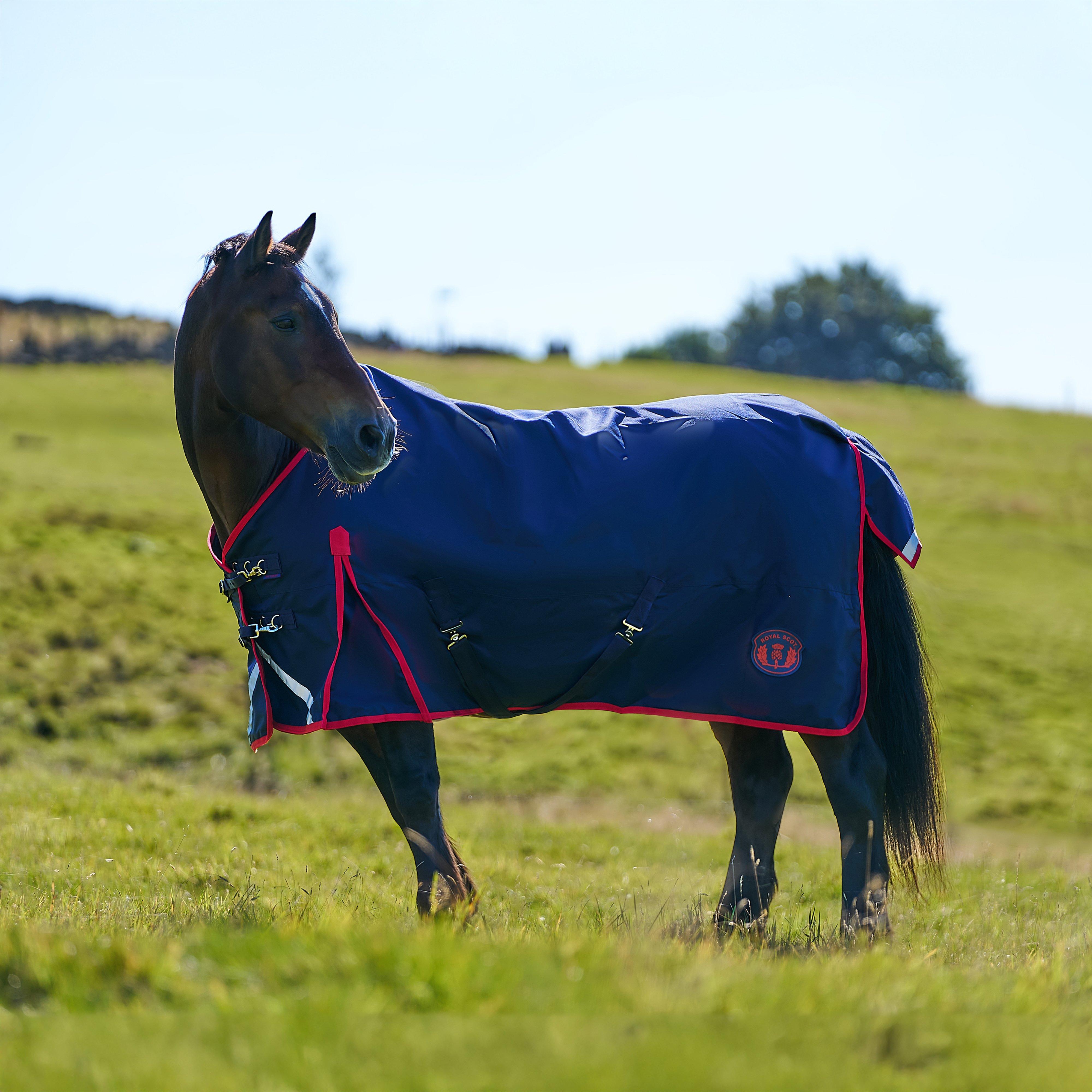 Original 50g Lightweight Standard Neck Turnout Rug Navy/Red