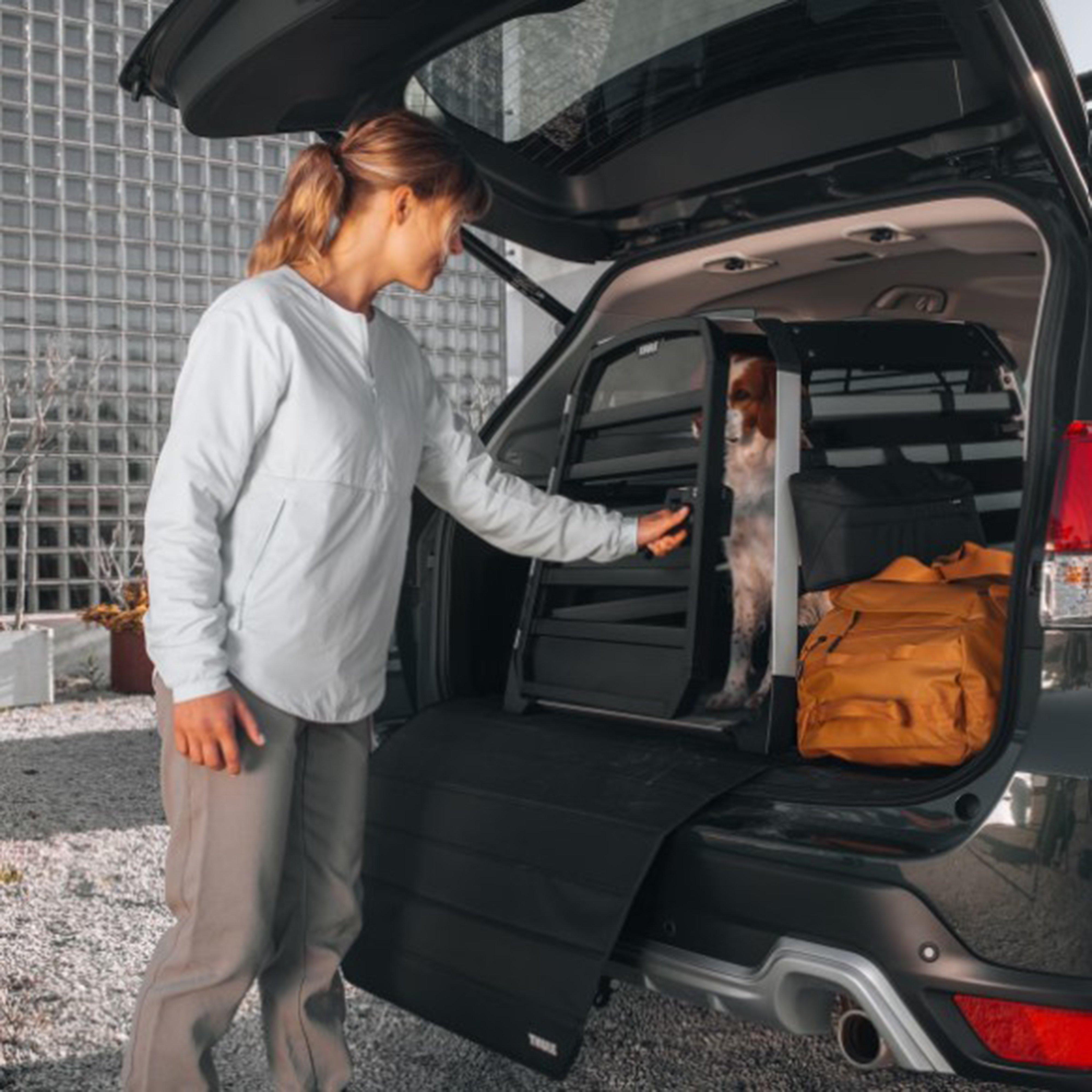 Allax Car Dog Crate Black XS