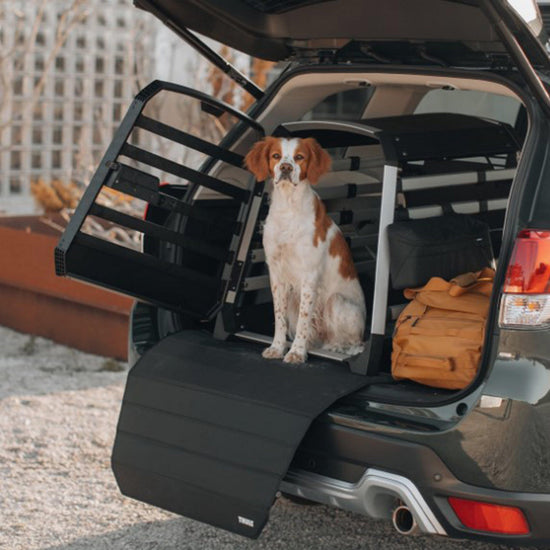 Allax Car Dog Crate Black M